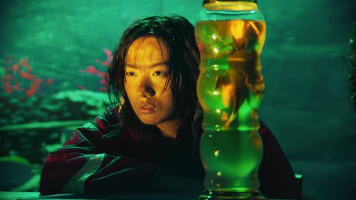 베독제-지느러미